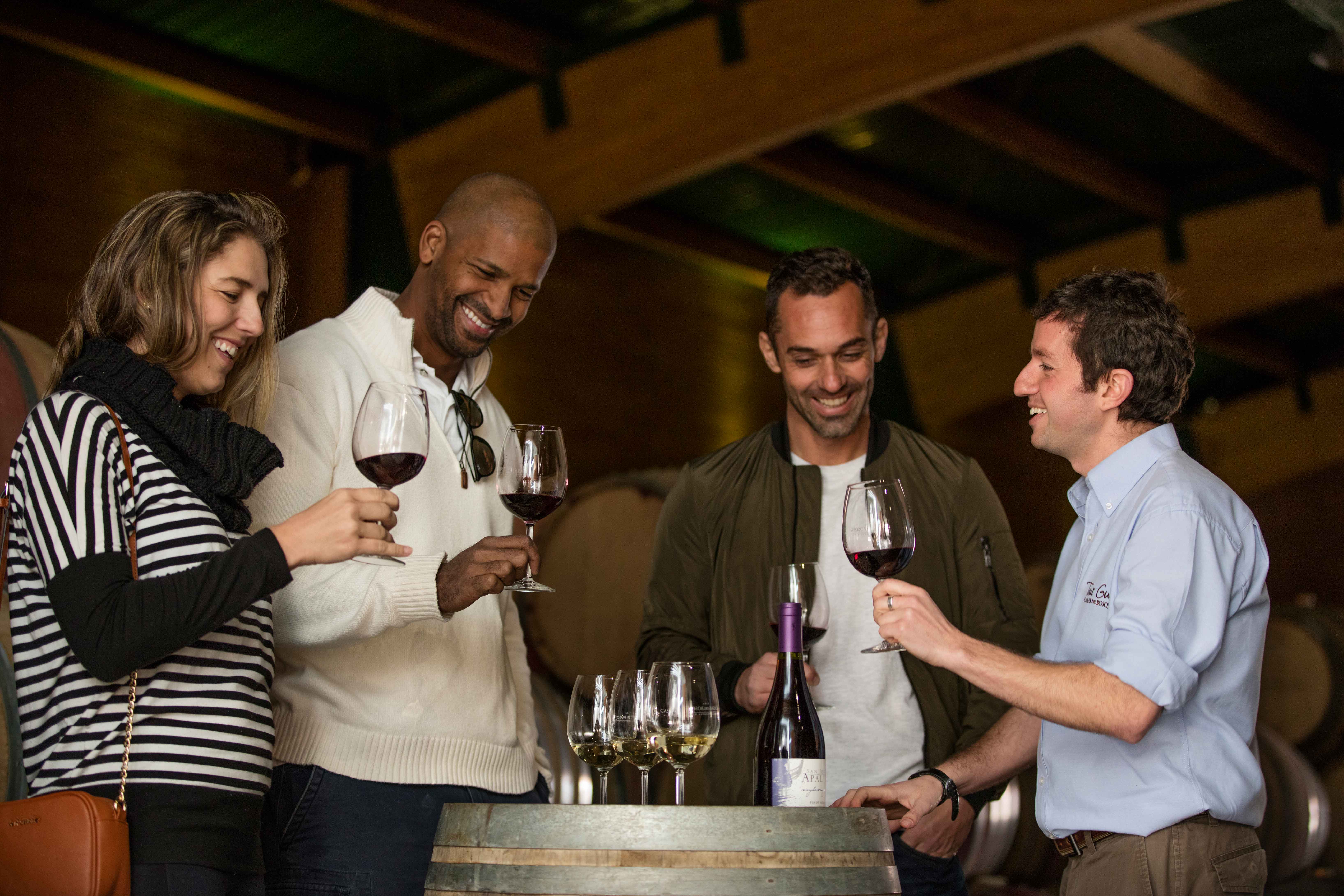 Wines of Chile