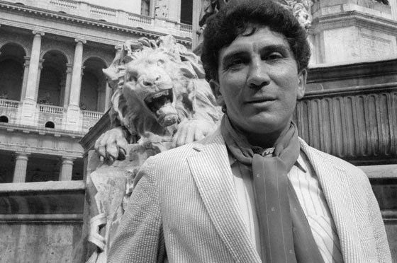 Reinaldo arenas essay image