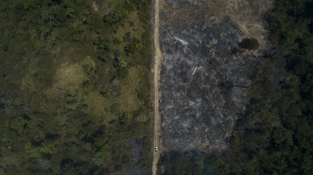 An aerial view of Amazon rainforest. (AP)