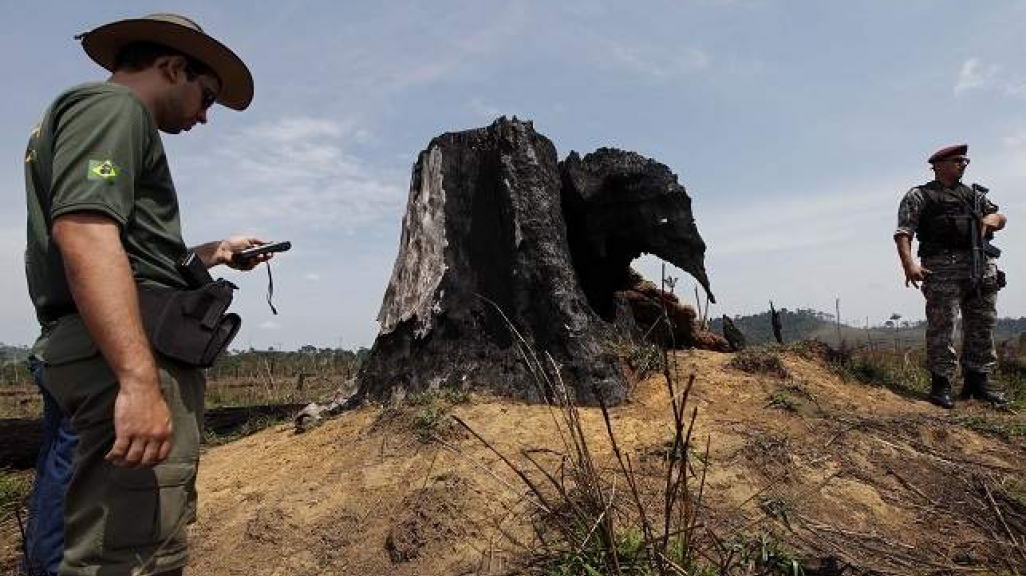 Environmental agent in Brazil