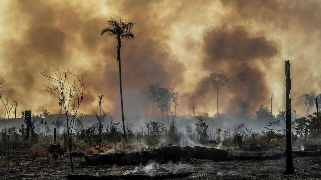 Fire in southern Amazonas, Brazil. (AP)