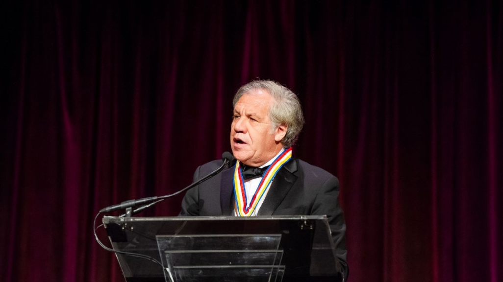 Luis Almagro at the 2019 Americas Society Spring Party. (Image: Paula Abreu Pita/Roey Yohai Studios)