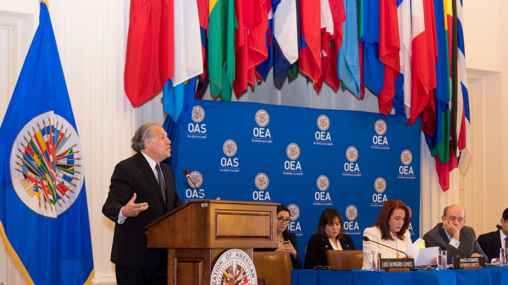 Secretary General Luis Almagro. (The OAS)