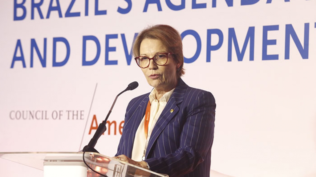 Ministra da Agricultura Tereza Cristina (Imagem: Eduardo Tadeu)