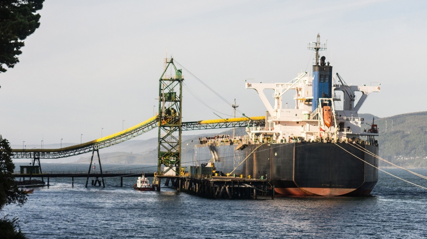 A shipping vessel in Chile (AdobeStock)