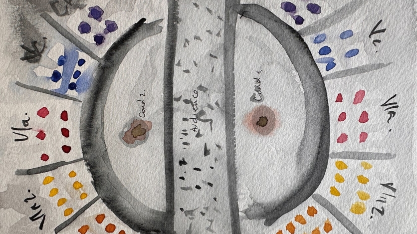 Excerpt from "Chaos Circles" by Natalia Domínguez Rangel