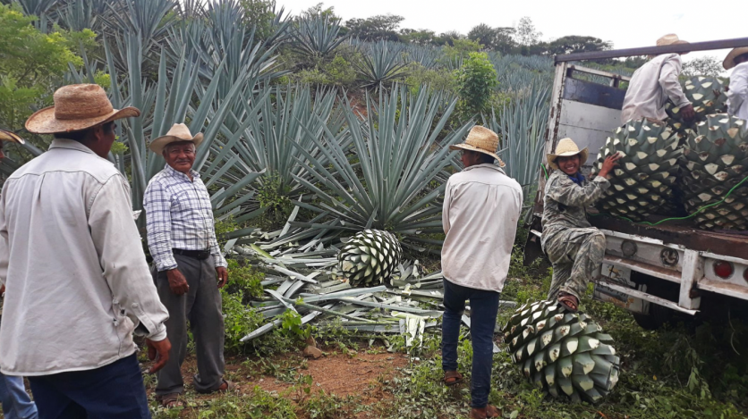 San Bartolo Mezcal Artesanal