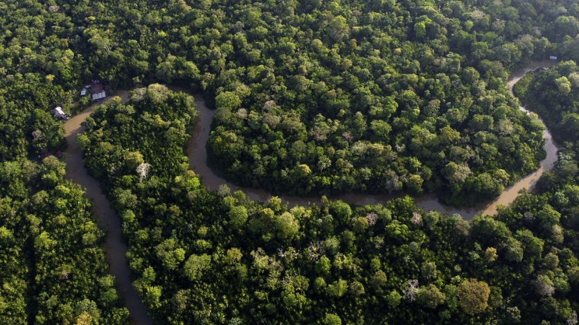 LatAmFocus: Can Carbon Markets Finance Brazil's Green Transition? - Vimarsana News