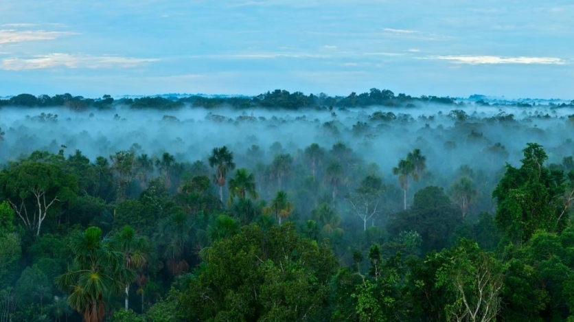 Trade and Environment: What Do Policymakers and Companies in the Americas Need to Know? - Vimarsana News
