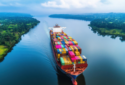 A large container ship glides down a wide river in a tropical area.