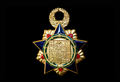 Gold Insigne