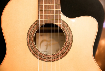 Guitar