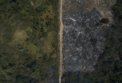 An aerial view of Amazon rainforest. (AP)
