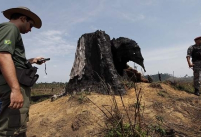 Environmental agent in Brazil