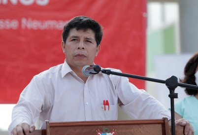 President Pedro Castillo. (GDA via AP Images)