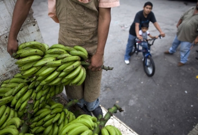 Banana trade, WTO, EU preferential trade, Latin America, Banana