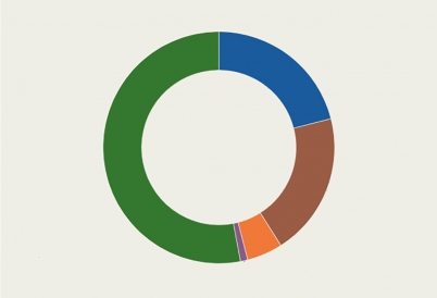 Bolivia elections poll