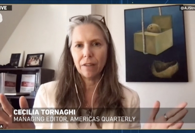 Cecilia Tornaghi on Al Jazeera.