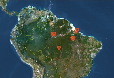 Graphic of the Amazon rainforest region with map locators