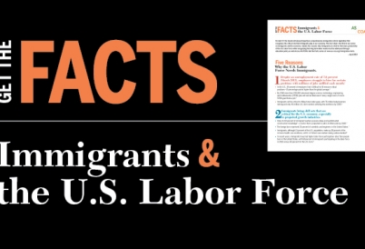 Immigration and the labor force