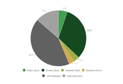 Latin America's Rural Workers pie chart