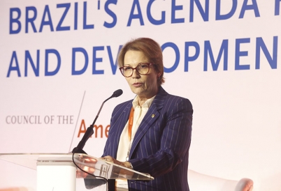 Ministra da Agricultura Tereza Cristina (Imagem: Eduardo Tadeu)