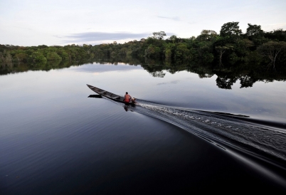 The Juma Reserve in the Amazon Rain Forest