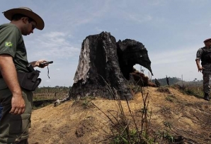 Environmental agent in Brazil