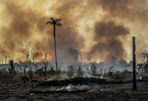 Fire in southern Amazonas, Brazil. (AP)