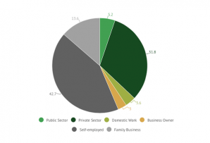 Latin America's Rural Workers pie chart