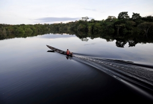 The Juma Reserve in the Amazon Rain Forest