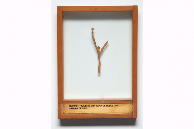 Luis Camnitzer, Reconstitución de una rama de roble con aserrín de pino, 1974-1975.