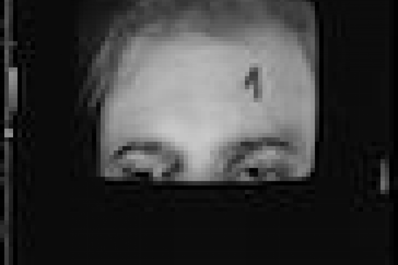 Osvaldo Romberg, Body Typologies, 1974/2014.