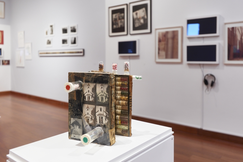 (Image: Arturo Sánchez)