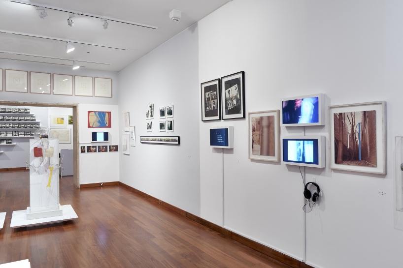 (Image: Arturo Sánchez)