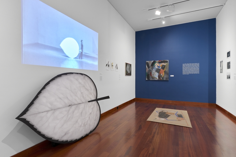 (Image: Arturo Sánchez)