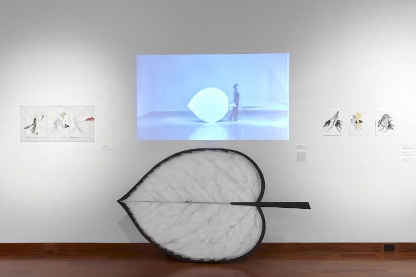 (Image: Arturo Sánchez)