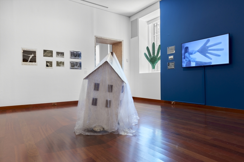 (Image: Arturo Sánchez)