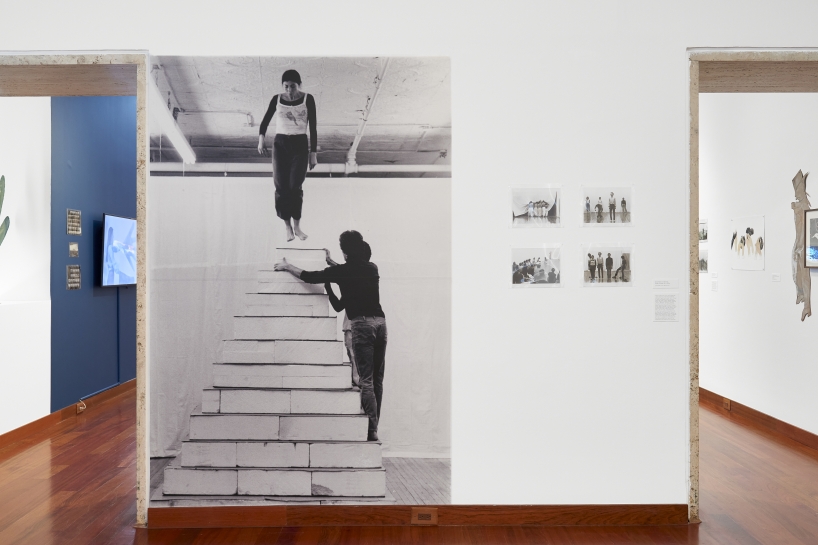 (Image: Arturo Sánchez)