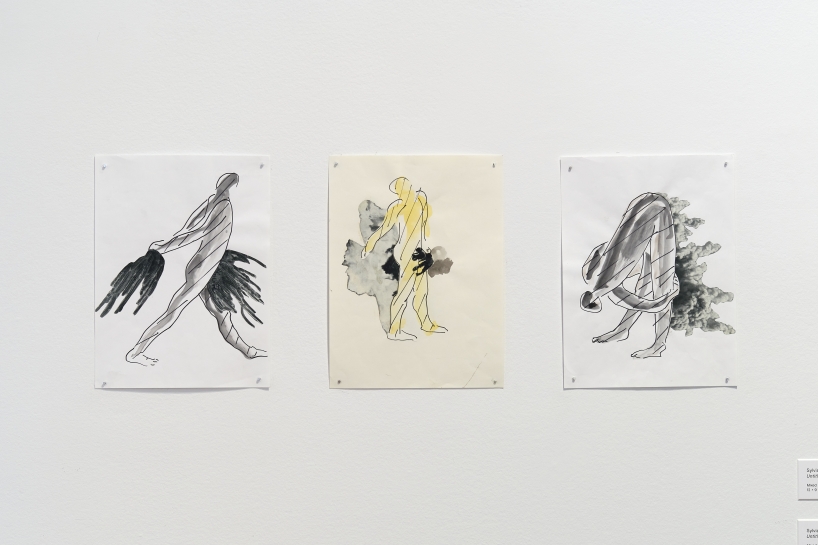 (Image: Arturo Sánchez)