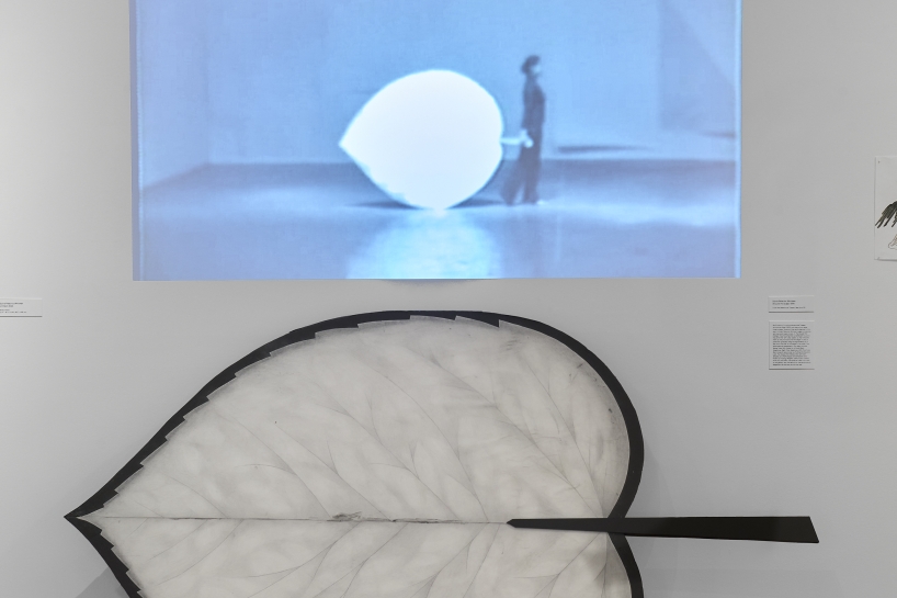 (Image: Arturo Sánchez)