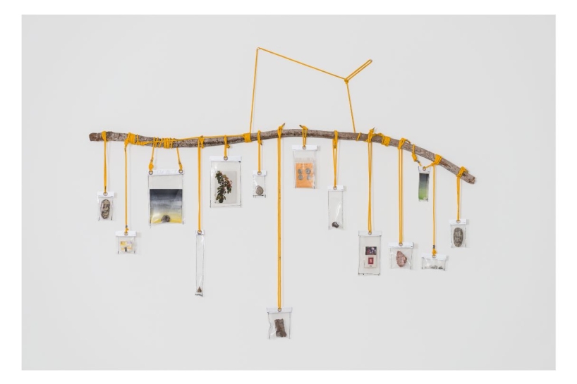 Dan Lie, Memory Stick ou Pau de Memória, 2015