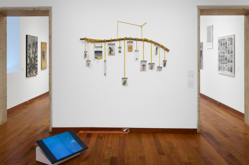 Photo: Arturo Sanchez