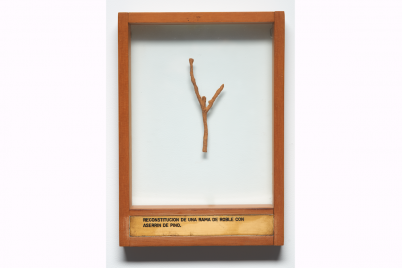 Luis Camnitzer, Reconstitución de una rama de roble con aserrín de pino, 1974-1975.