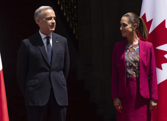 Q&A: UNAM's Solange Márquez on What the U.S.–Canada Trade War Means for Mexico