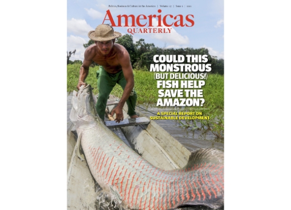 NEW AQ: The Case for Sustainable Development in the Amazon | AS/COA