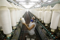 A woman in a cotton thread factory in Brazil. (AP)