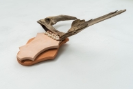 Amazonia Acu Exhibition Suriname