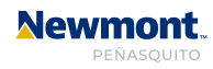 Newmont Spanish Logo 2024