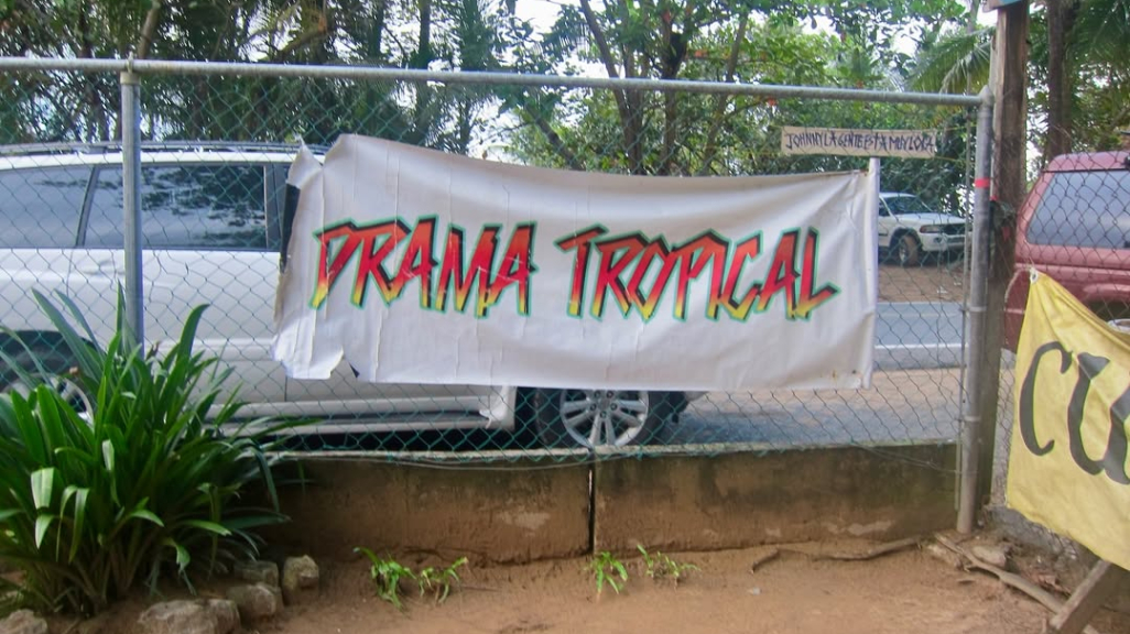 Katalina Iturralde, Banner Series I, 2011. Courtesy of the artist.